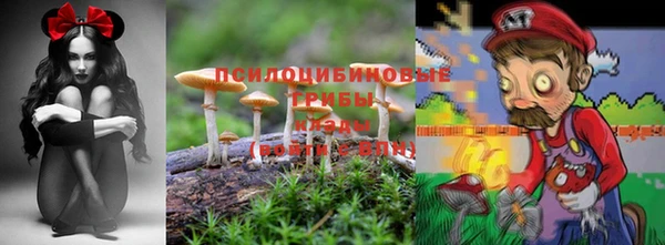 а пвп мука Аркадак