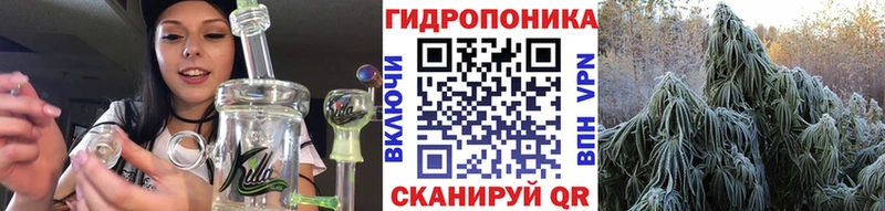 Шишки марихуана MAZAR что такое наркотик hydra зеркало Теберда